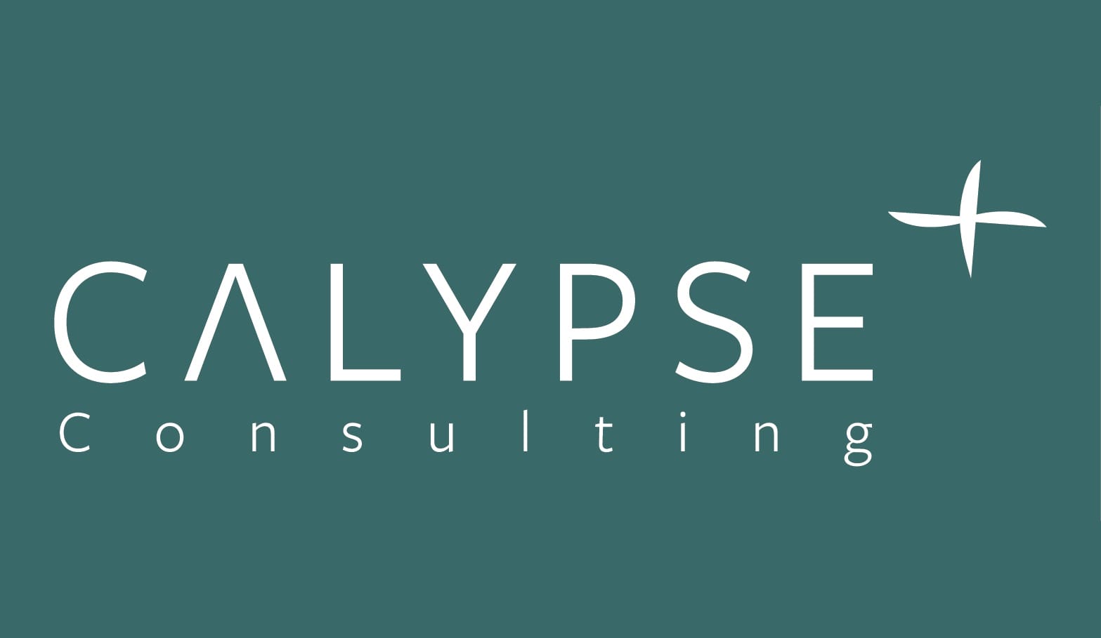CALYPSE Consulting